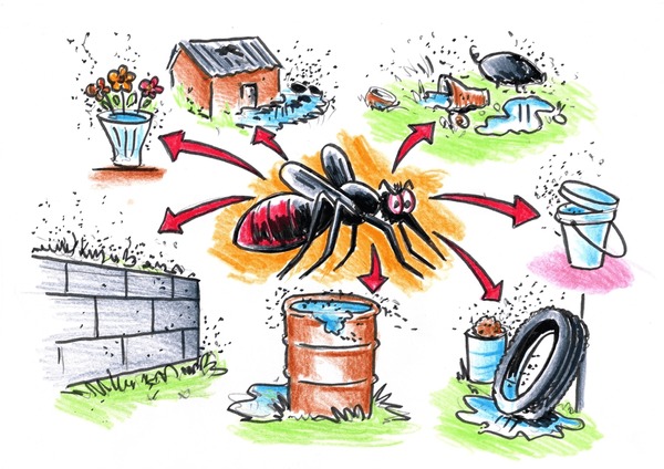 1,518 imágenes, fotos de stock, objetos en 3D y vectores sobre Dengue poster | Shutterstock